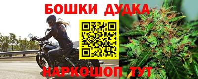 прущие грибы Северобайкальск