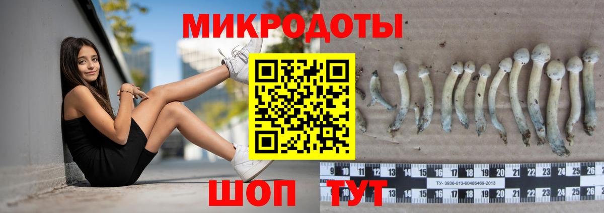 Россошь  Галлюциногенные грибы мицелий  Вход с VPN  Галлюциногенные грибы Cubensis 