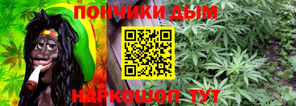 Бошки Шишки сатива Россошь